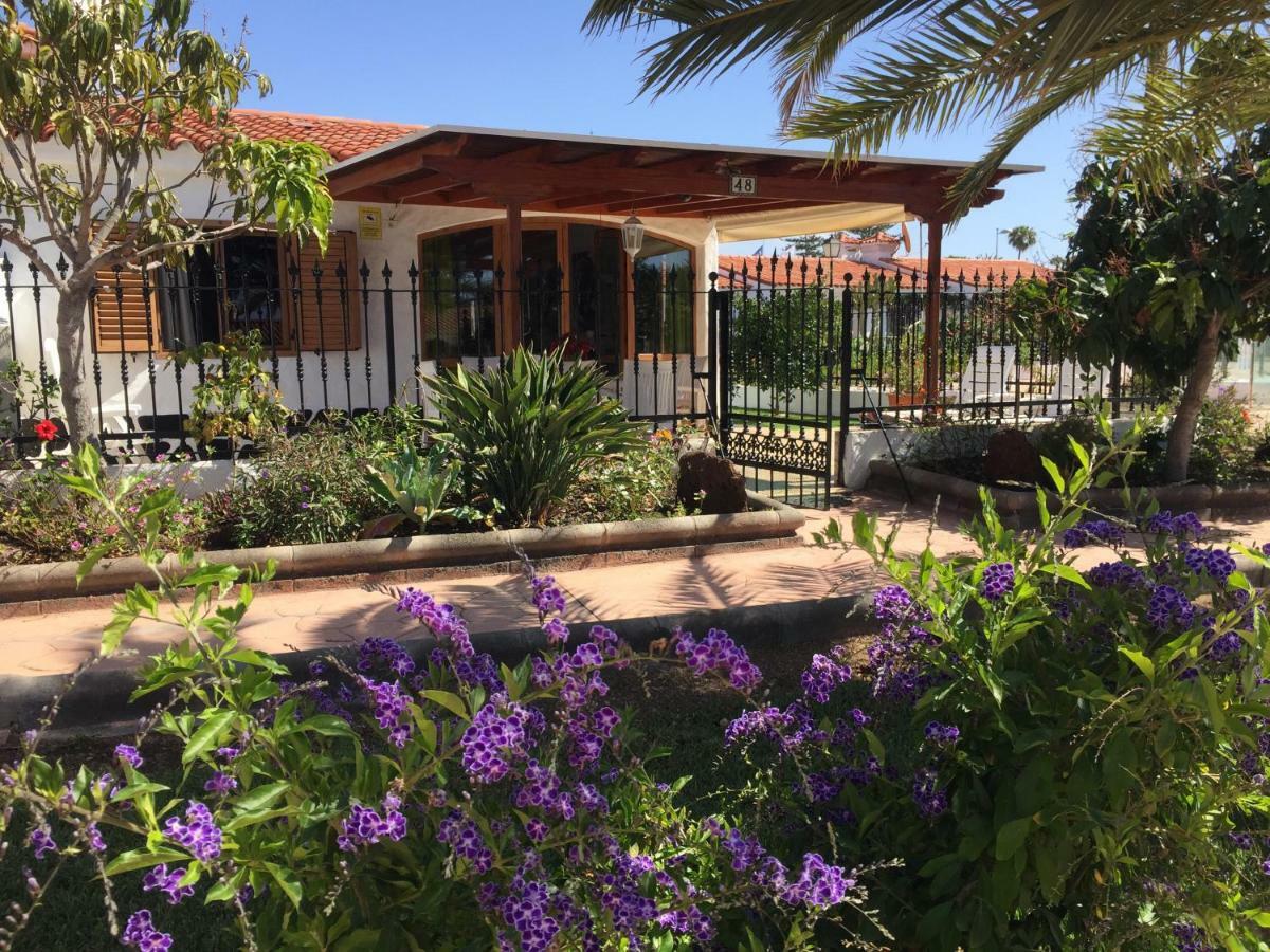 Los Porches Rosario Playa del Ingles  Ngoại thất bức ảnh